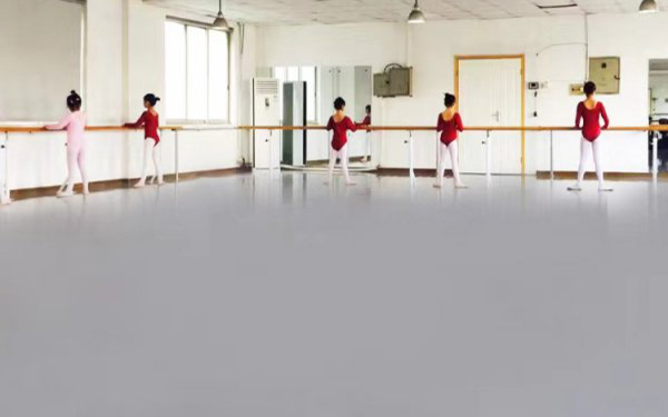 舞蹈专用地板